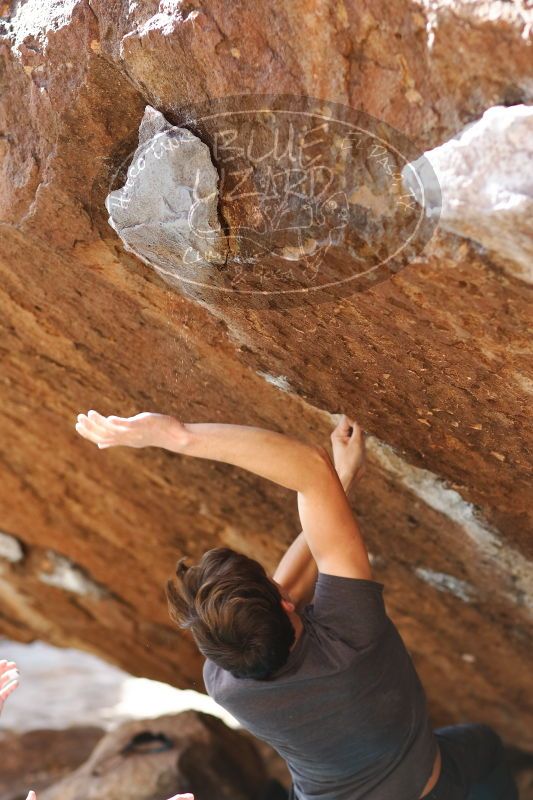 

Filename: SRM_20170103_1735450.jpg
Aperture: f/2.8
Shutter Speed: 1/500
Body: Canon EOS-1D Mark II
Lens: Canon EF 85mm f/1.2 L II