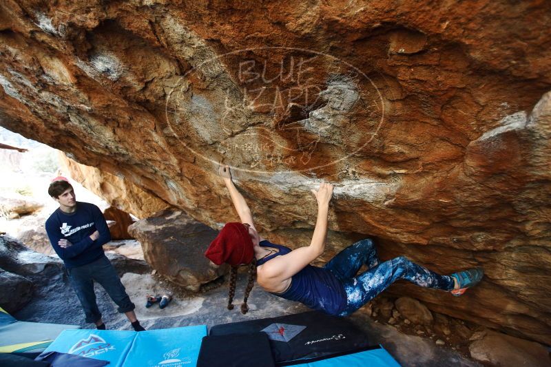 

Filename: SRM_20170103_1744370.jpg
Aperture: f/2.8
Shutter Speed: 1/320
Body: Canon EOS-1D Mark II
Lens: Canon EF 16-35mm f/2.8 L