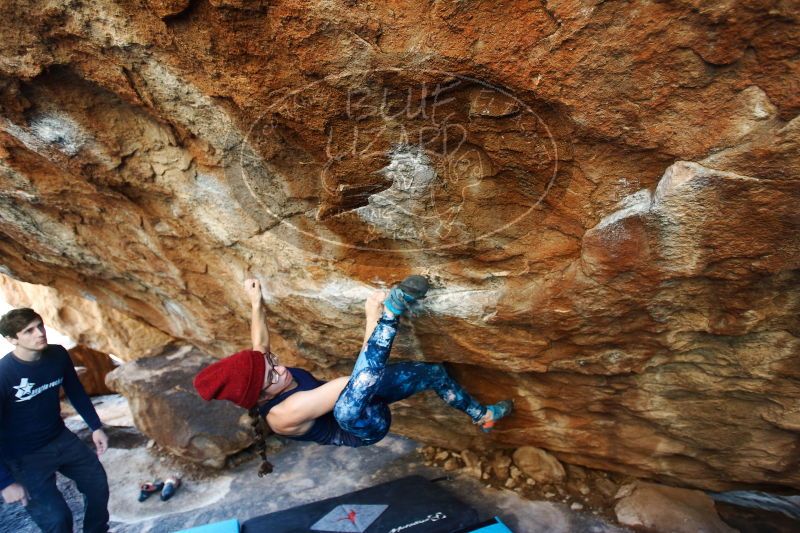 

Filename: SRM_20170103_1745410.jpg
Aperture: f/2.8
Shutter Speed: 1/200
Body: Canon EOS-1D Mark II
Lens: Canon EF 16-35mm f/2.8 L