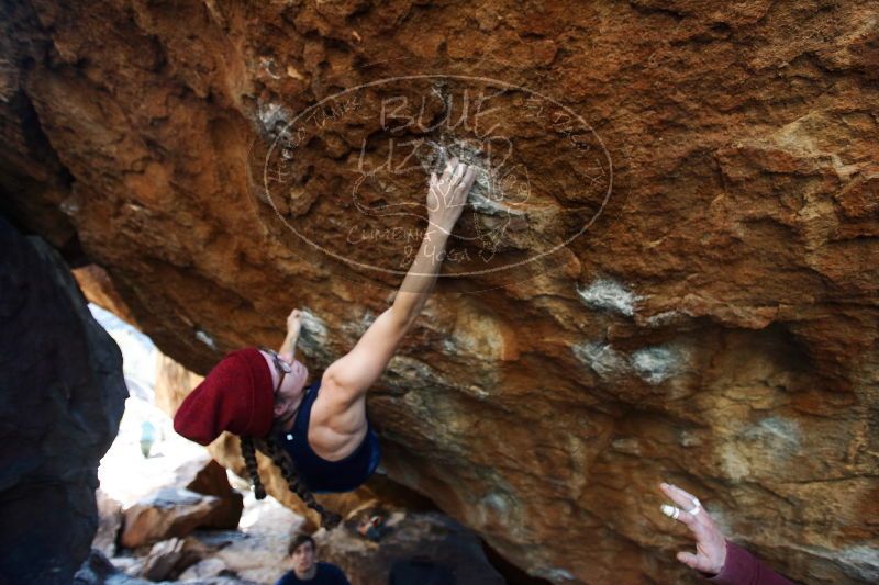 

Filename: SRM_20170103_1749450.jpg
Aperture: f/2.8
Shutter Speed: 1/400
Body: Canon EOS-1D Mark II
Lens: Canon EF 16-35mm f/2.8 L