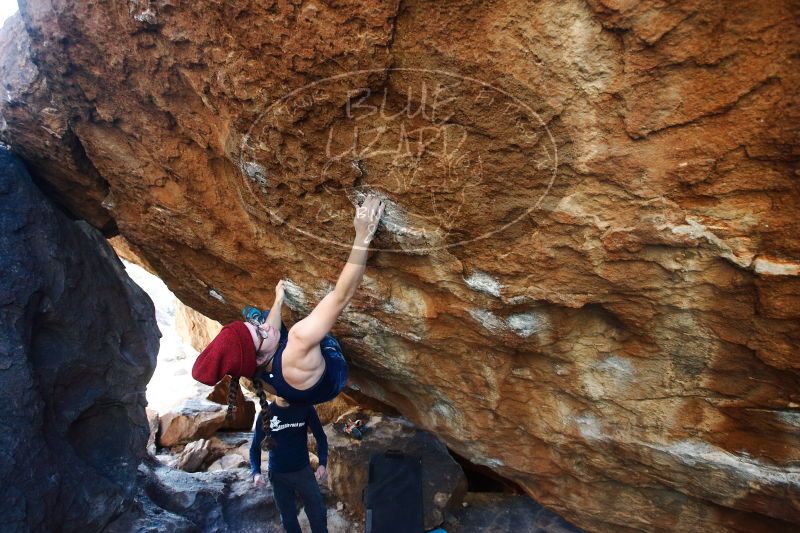 

Filename: SRM_20170103_1753310.jpg
Aperture: f/4.0
Shutter Speed: 1/200
Body: Canon EOS-1D Mark II
Lens: Canon EF 16-35mm f/2.8 L