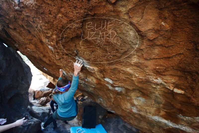 

Filename: SRM_20170103_1756563.jpg
Aperture: f/4.0
Shutter Speed: 1/200
Body: Canon EOS-1D Mark II
Lens: Canon EF 16-35mm f/2.8 L