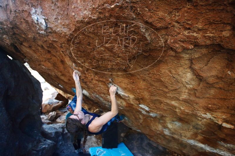 

Filename: SRM_20170103_1758072.jpg
Aperture: f/4.0
Shutter Speed: 1/250
Body: Canon EOS-1D Mark II
Lens: Canon EF 16-35mm f/2.8 L