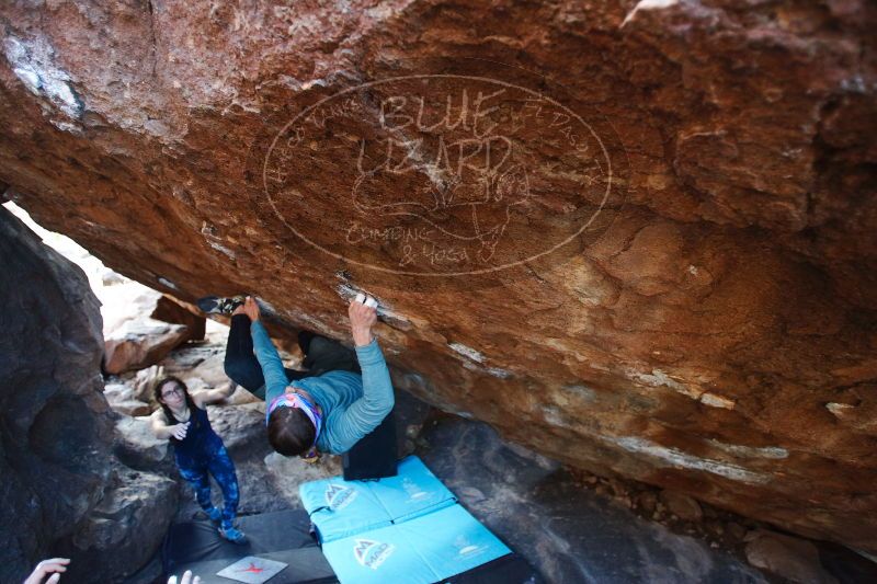 

Filename: SRM_20170103_1801341.jpg
Aperture: f/2.8
Shutter Speed: 1/250
Body: Canon EOS-1D Mark II
Lens: Canon EF 16-35mm f/2.8 L