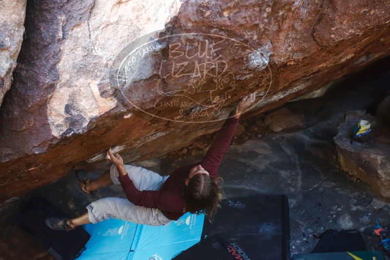 

Filename: SRM_20170103_1807491.jpg
Aperture: f/2.8
Shutter Speed: 1/320
Body: Canon EOS-1D Mark II
Lens: Canon EF 16-35mm f/2.8 L