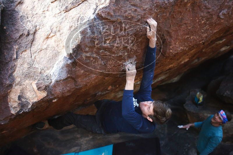 

Filename: SRM_20170103_1811252.jpg
Aperture: f/2.8
Shutter Speed: 1/500
Body: Canon EOS-1D Mark II
Lens: Canon EF 16-35mm f/2.8 L