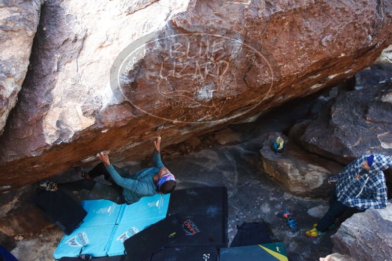 

Filename: SRM_20170103_1812180.jpg
Aperture: f/2.8
Shutter Speed: 1/320
Body: Canon EOS-1D Mark II
Lens: Canon EF 16-35mm f/2.8 L