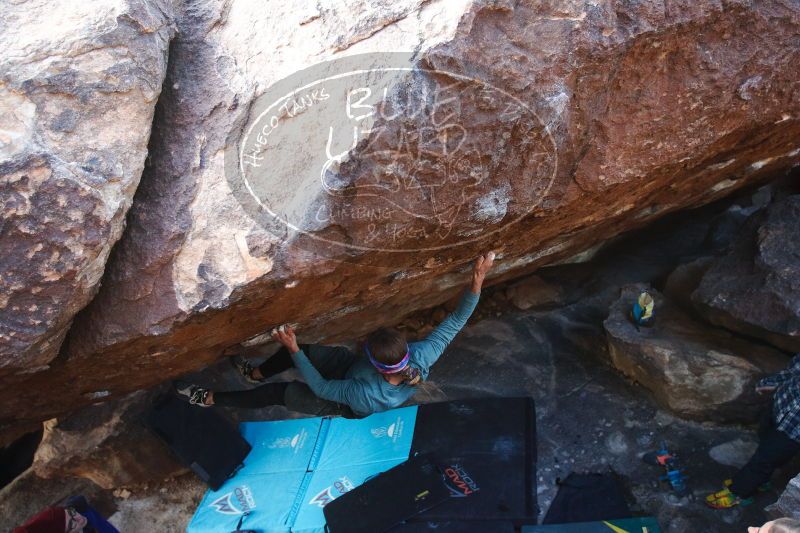 

Filename: SRM_20170103_1812200.jpg
Aperture: f/2.8
Shutter Speed: 1/320
Body: Canon EOS-1D Mark II
Lens: Canon EF 16-35mm f/2.8 L