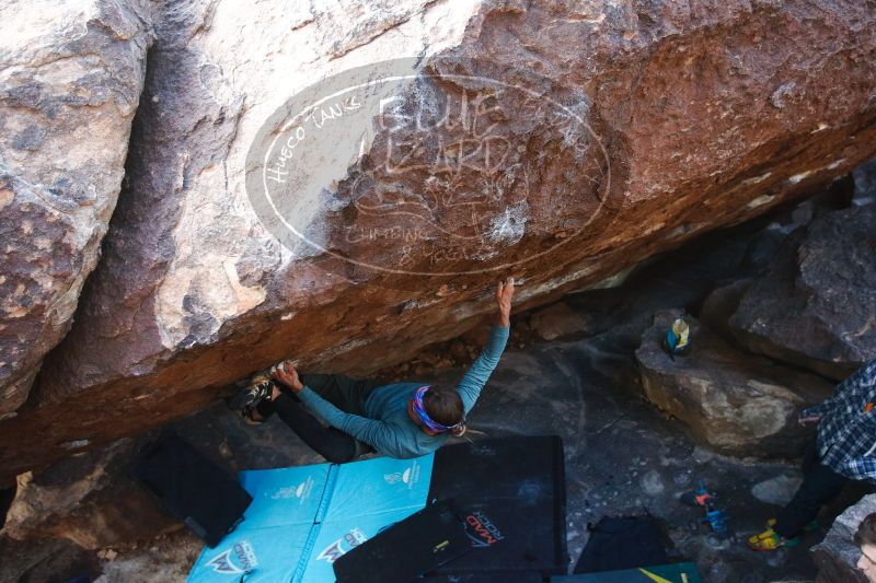 

Filename: SRM_20170103_1812231.jpg
Aperture: f/2.8
Shutter Speed: 1/320
Body: Canon EOS-1D Mark II
Lens: Canon EF 16-35mm f/2.8 L