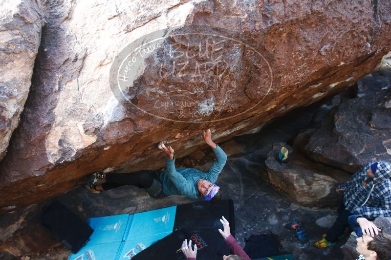 

Filename: SRM_20170103_1812271.jpg
Aperture: f/3.2
Shutter Speed: 1/320
Body: Canon EOS-1D Mark II
Lens: Canon EF 16-35mm f/2.8 L