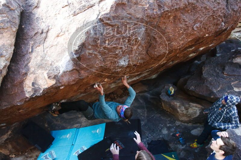 

Filename: SRM_20170103_1812274.jpg
Aperture: f/3.2
Shutter Speed: 1/250
Body: Canon EOS-1D Mark II
Lens: Canon EF 16-35mm f/2.8 L