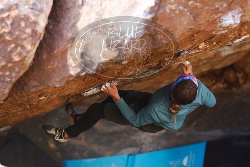 

Filename: SRM_20170103_1823140.jpg
Aperture: f/2.0
Shutter Speed: 1/800
Body: Canon EOS-1D Mark II
Lens: Canon EF 85mm f/1.2 L II