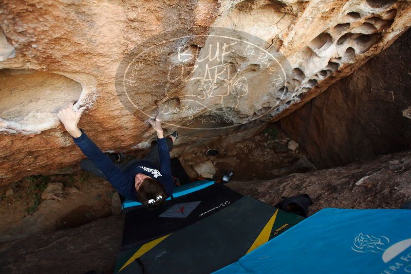 

Filename: SRM_20170103_1911130.jpg
Aperture: f/2.8
Shutter Speed: 1/200
Body: Canon EOS-1D Mark II
Lens: Canon EF 16-35mm f/2.8 L