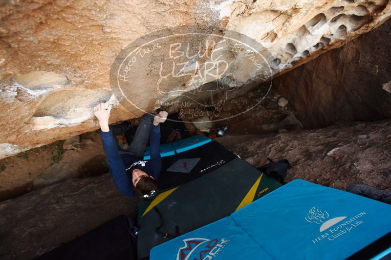 

Filename: SRM_20170103_1911150.jpg
Aperture: f/2.8
Shutter Speed: 1/200
Body: Canon EOS-1D Mark II
Lens: Canon EF 16-35mm f/2.8 L