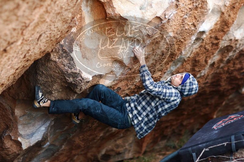 

Filename: SRM_20170103_1917450.jpg
Aperture: f/2.0
Shutter Speed: 1/320
Body: Canon EOS-1D Mark II
Lens: Canon EF 85mm f/1.2 L II