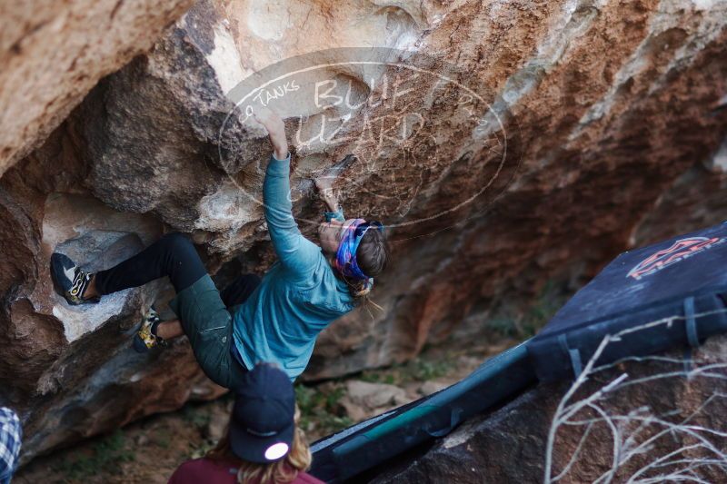 

Filename: SRM_20170103_1920231.jpg
Aperture: f/1.6
Shutter Speed: 1/200
Body: Canon EOS-1D Mark II
Lens: Canon EF 85mm f/1.2 L II