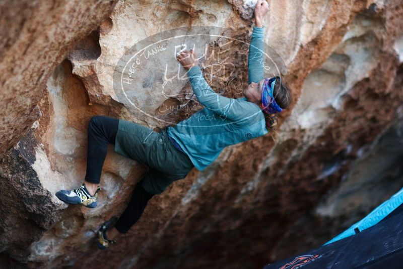 

Filename: SRM_20170103_1920540.jpg
Aperture: f/1.6
Shutter Speed: 1/500
Body: Canon EOS-1D Mark II
Lens: Canon EF 85mm f/1.2 L II