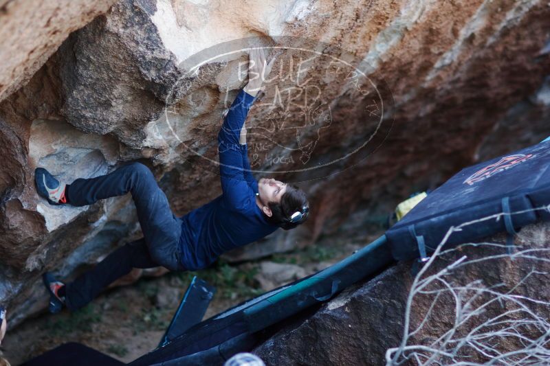 

Filename: SRM_20170103_1923590.jpg
Aperture: f/1.6
Shutter Speed: 1/125
Body: Canon EOS-1D Mark II
Lens: Canon EF 85mm f/1.2 L II