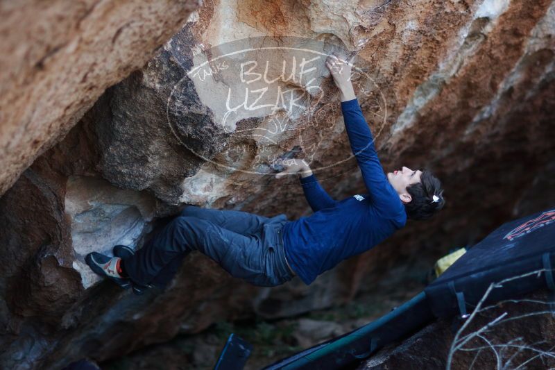 

Filename: SRM_20170103_1924040.jpg
Aperture: f/1.2
Shutter Speed: 1/250
Body: Canon EOS-1D Mark II
Lens: Canon EF 85mm f/1.2 L II