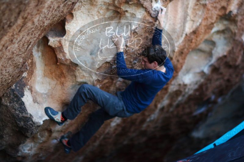 

Filename: SRM_20170103_1924270.jpg
Aperture: f/1.4
Shutter Speed: 1/400
Body: Canon EOS-1D Mark II
Lens: Canon EF 85mm f/1.2 L II