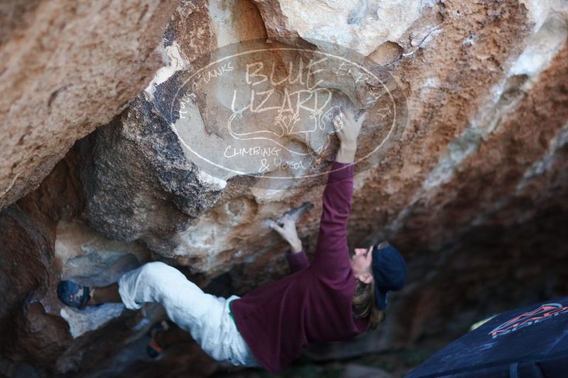 

Filename: SRM_20170103_1925150.jpg
Aperture: f/1.4
Shutter Speed: 1/250
Body: Canon EOS-1D Mark II
Lens: Canon EF 85mm f/1.2 L II