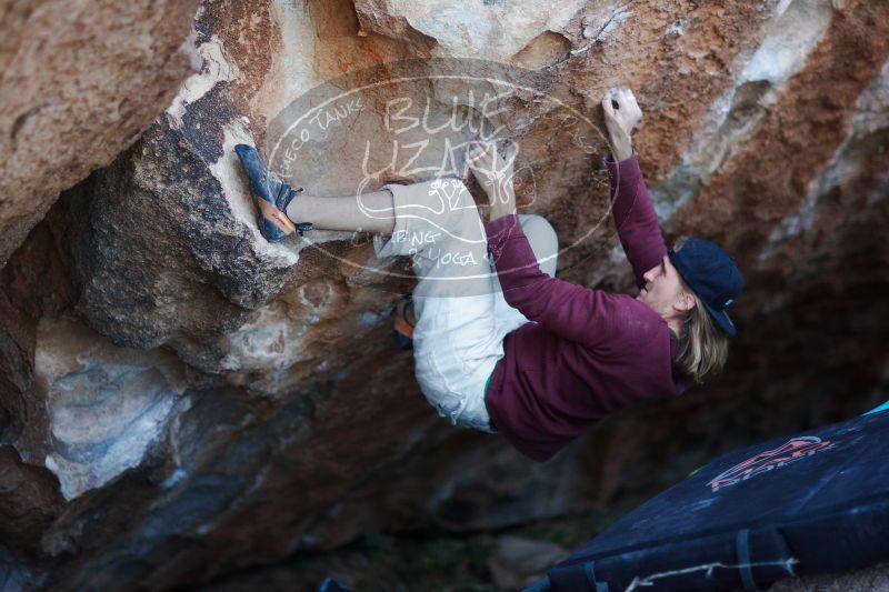 

Filename: SRM_20170103_1925291.jpg
Aperture: f/1.4
Shutter Speed: 1/250
Body: Canon EOS-1D Mark II
Lens: Canon EF 85mm f/1.2 L II