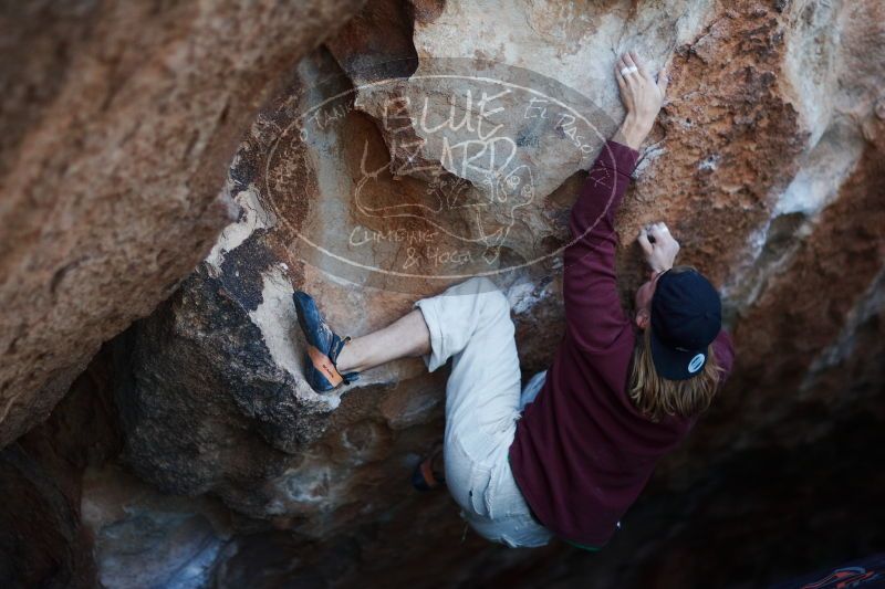 

Filename: SRM_20170103_1925350.jpg
Aperture: f/1.4
Shutter Speed: 1/400
Body: Canon EOS-1D Mark II
Lens: Canon EF 85mm f/1.2 L II