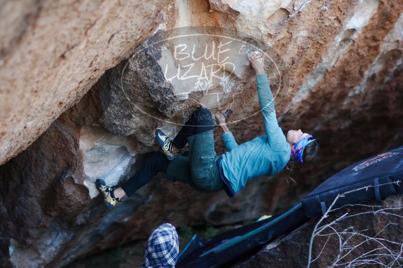 

Filename: SRM_20170103_1926420.jpg
Aperture: f/1.4
Shutter Speed: 1/160
Body: Canon EOS-1D Mark II
Lens: Canon EF 85mm f/1.2 L II
