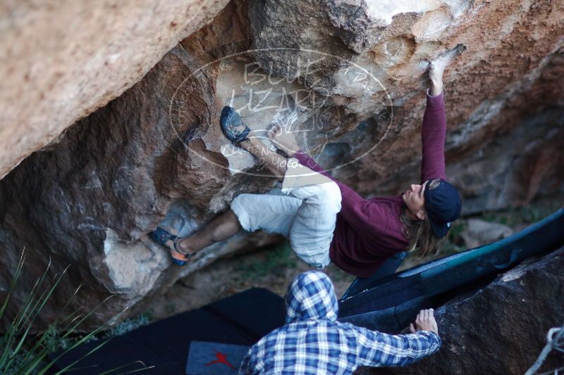 

Filename: SRM_20170103_1930290.jpg
Aperture: f/1.2
Shutter Speed: 1/160
Body: Canon EOS-1D Mark II
Lens: Canon EF 85mm f/1.2 L II