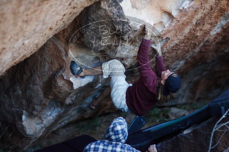 

Filename: SRM_20170103_1930371.jpg
Aperture: f/1.2
Shutter Speed: 1/200
Body: Canon EOS-1D Mark II
Lens: Canon EF 85mm f/1.2 L II