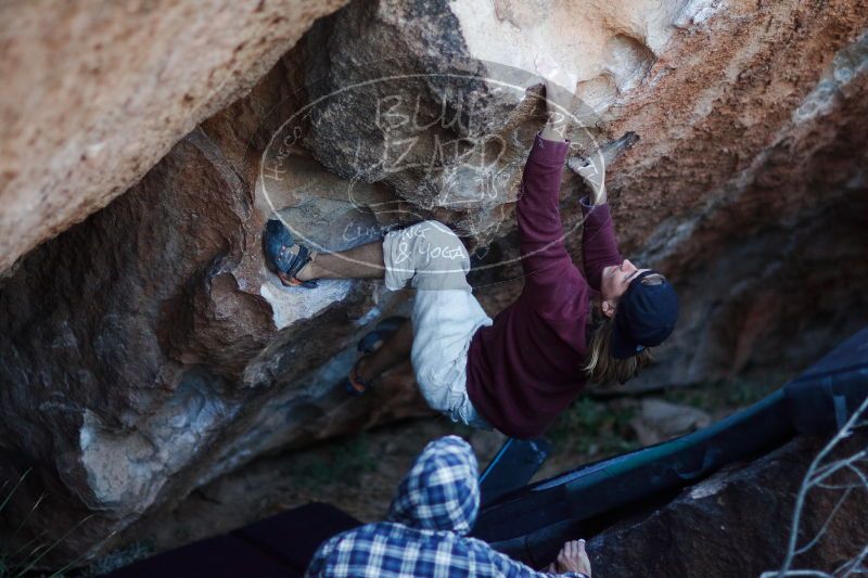 

Filename: SRM_20170103_1930372.jpg
Aperture: f/1.2
Shutter Speed: 1/200
Body: Canon EOS-1D Mark II
Lens: Canon EF 85mm f/1.2 L II