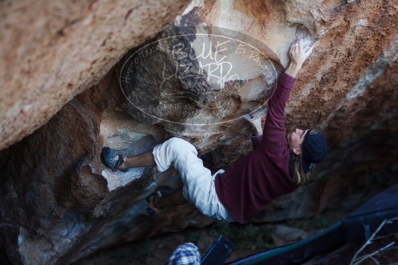 

Filename: SRM_20170103_1930380.jpg
Aperture: f/1.2
Shutter Speed: 1/250
Body: Canon EOS-1D Mark II
Lens: Canon EF 85mm f/1.2 L II