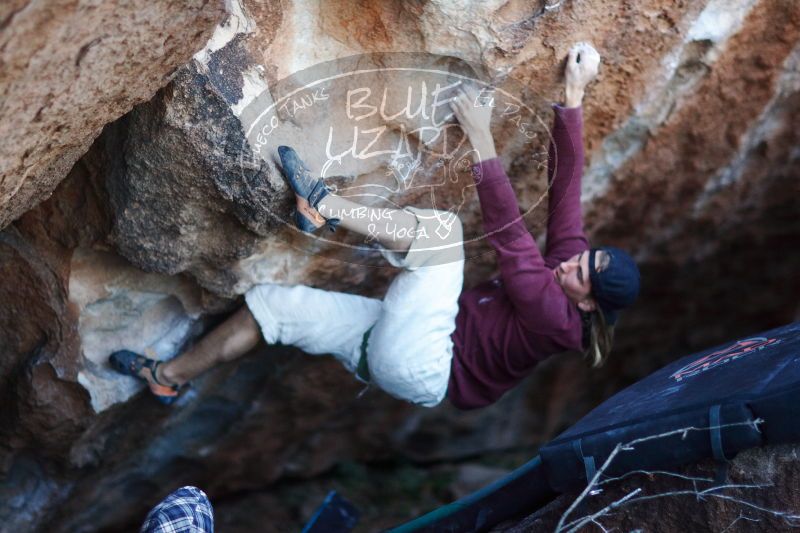 

Filename: SRM_20170103_1930450.jpg
Aperture: f/1.2
Shutter Speed: 1/250
Body: Canon EOS-1D Mark II
Lens: Canon EF 85mm f/1.2 L II