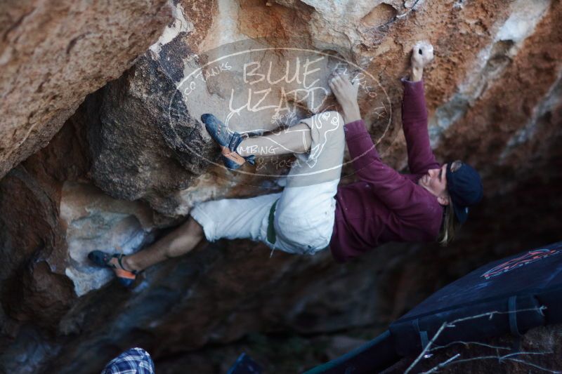 

Filename: SRM_20170103_1930452.jpg
Aperture: f/1.2
Shutter Speed: 1/320
Body: Canon EOS-1D Mark II
Lens: Canon EF 85mm f/1.2 L II