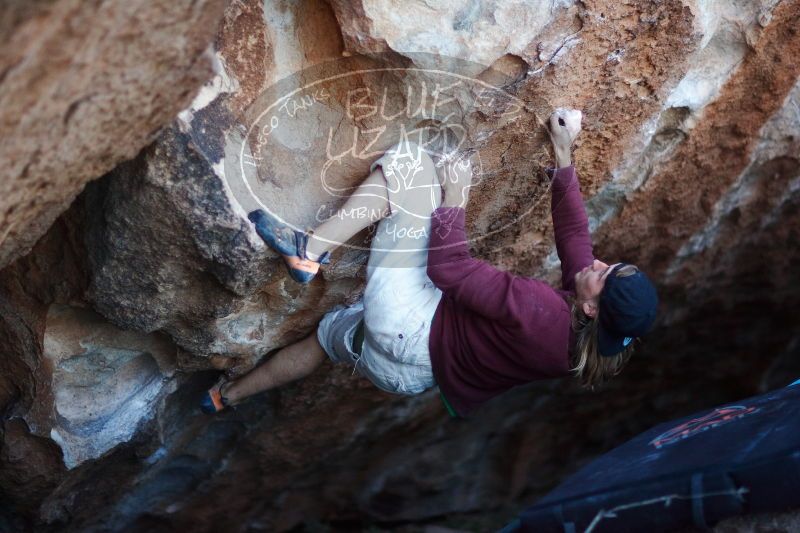 

Filename: SRM_20170103_1930490.jpg
Aperture: f/1.2
Shutter Speed: 1/320
Body: Canon EOS-1D Mark II
Lens: Canon EF 85mm f/1.2 L II