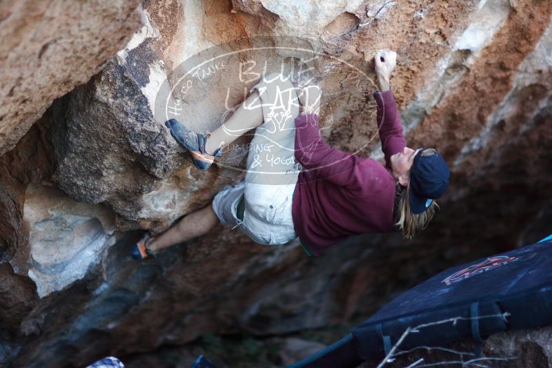 

Filename: SRM_20170103_1930491.jpg
Aperture: f/1.2
Shutter Speed: 1/250
Body: Canon EOS-1D Mark II
Lens: Canon EF 85mm f/1.2 L II