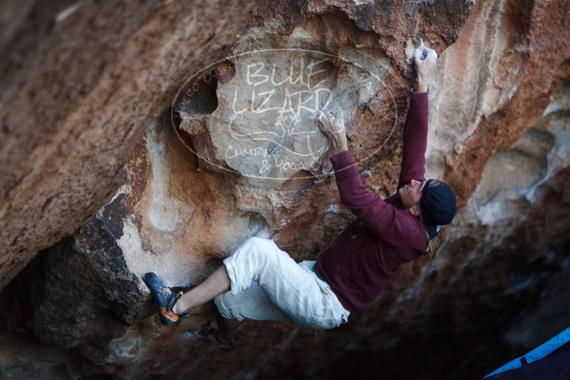 

Filename: SRM_20170103_1931000.jpg
Aperture: f/1.2
Shutter Speed: 1/500
Body: Canon EOS-1D Mark II
Lens: Canon EF 85mm f/1.2 L II