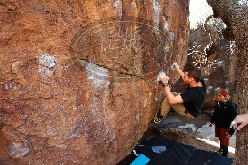 

Filename: SRM_20170104_1257561.jpg
Aperture: f/4.0
Shutter Speed: 1/200
Body: Canon EOS-1D Mark II
Lens: Canon EF 16-35mm f/2.8 L