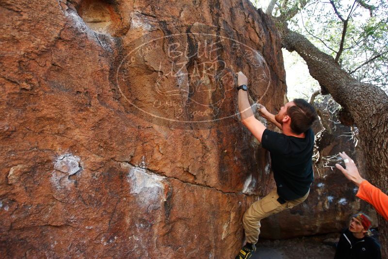 

Filename: SRM_20170104_1258061.jpg
Aperture: f/4.0
Shutter Speed: 1/250
Body: Canon EOS-1D Mark II
Lens: Canon EF 16-35mm f/2.8 L
