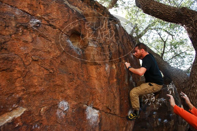 

Filename: SRM_20170104_1258160.jpg
Aperture: f/4.0
Shutter Speed: 1/400
Body: Canon EOS-1D Mark II
Lens: Canon EF 16-35mm f/2.8 L