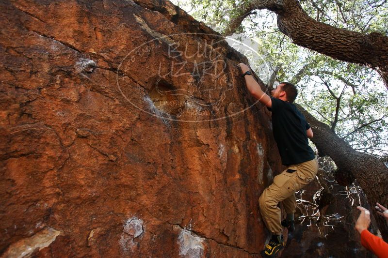 

Filename: SRM_20170104_1258173.jpg
Aperture: f/4.0
Shutter Speed: 1/500
Body: Canon EOS-1D Mark II
Lens: Canon EF 16-35mm f/2.8 L