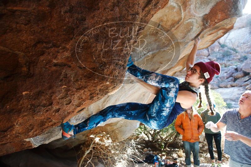 

Filename: SRM_20170104_1302360.jpg
Aperture: f/4.0
Shutter Speed: 1/250
Body: Canon EOS-1D Mark II
Lens: Canon EF 16-35mm f/2.8 L