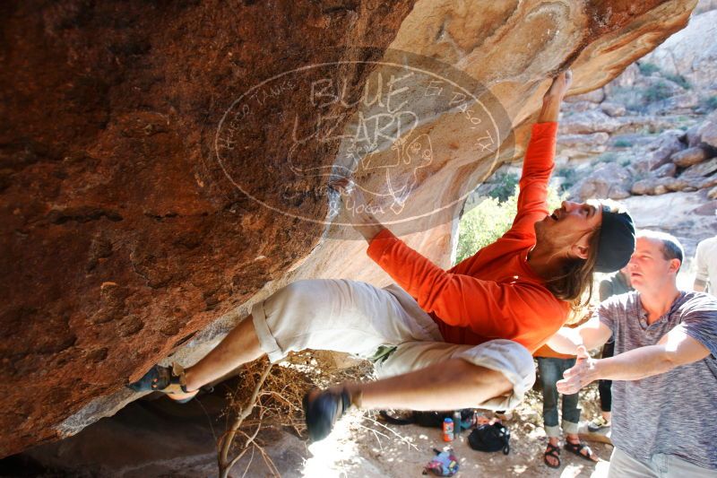 

Filename: SRM_20170104_1314330.jpg
Aperture: f/4.5
Shutter Speed: 1/200
Body: Canon EOS-1D Mark II
Lens: Canon EF 16-35mm f/2.8 L