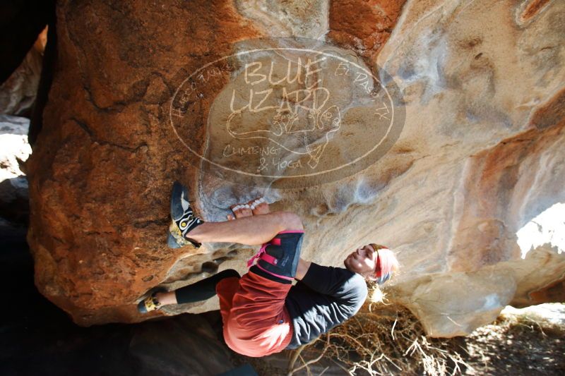 

Filename: SRM_20170104_1316480.jpg
Aperture: f/4.5
Shutter Speed: 1/250
Body: Canon EOS-1D Mark II
Lens: Canon EF 16-35mm f/2.8 L