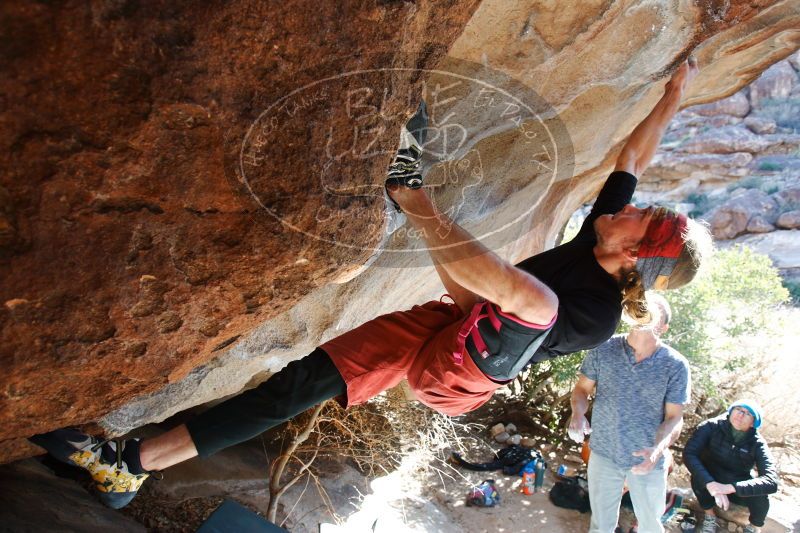 

Filename: SRM_20170104_1319032.jpg
Aperture: f/4.0
Shutter Speed: 1/250
Body: Canon EOS-1D Mark II
Lens: Canon EF 16-35mm f/2.8 L