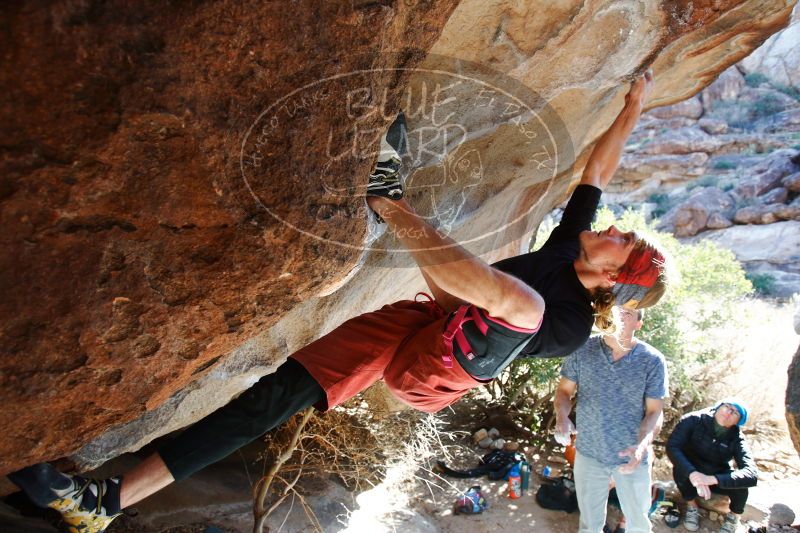 

Filename: SRM_20170104_1319040.jpg
Aperture: f/4.0
Shutter Speed: 1/250
Body: Canon EOS-1D Mark II
Lens: Canon EF 16-35mm f/2.8 L