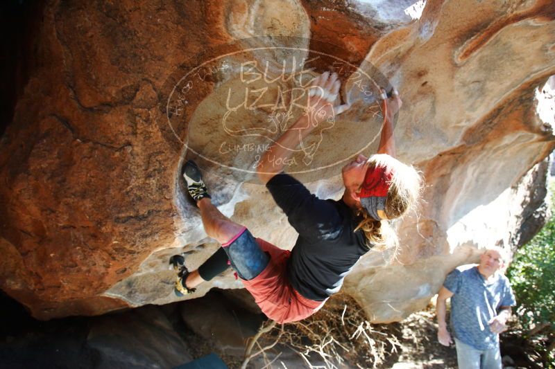 

Filename: SRM_20170104_1321200.jpg
Aperture: f/4.0
Shutter Speed: 1/250
Body: Canon EOS-1D Mark II
Lens: Canon EF 16-35mm f/2.8 L