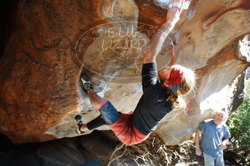 

Filename: SRM_20170104_1321201.jpg
Aperture: f/4.0
Shutter Speed: 1/320
Body: Canon EOS-1D Mark II
Lens: Canon EF 16-35mm f/2.8 L