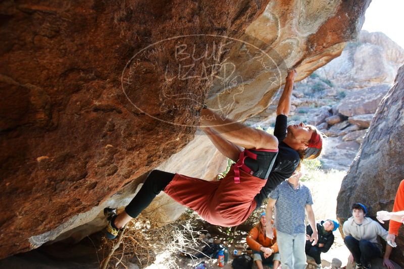 

Filename: SRM_20170104_1322310.jpg
Aperture: f/4.0
Shutter Speed: 1/250
Body: Canon EOS-1D Mark II
Lens: Canon EF 16-35mm f/2.8 L