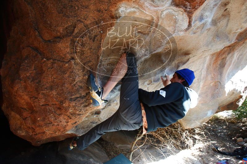 

Filename: SRM_20170104_1326070.jpg
Aperture: f/4.0
Shutter Speed: 1/250
Body: Canon EOS-1D Mark II
Lens: Canon EF 16-35mm f/2.8 L